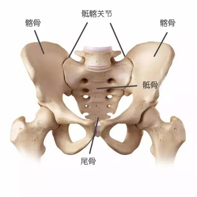 骶髂关节紊乱与腰椎间盘突出有什么关系?