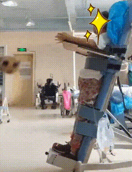 8.gif