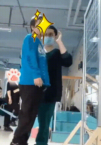 13.gif