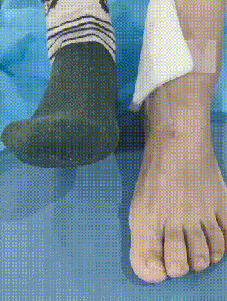 26.gif