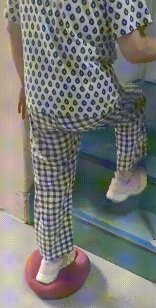 29.gif