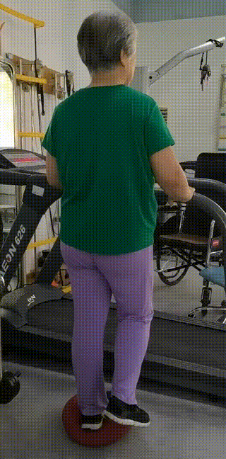 12.gif